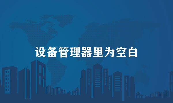 设备管理器里为空白