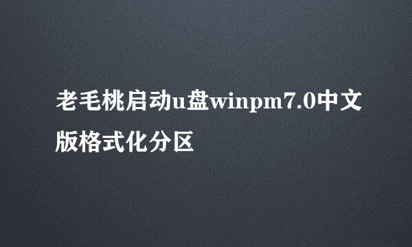 老毛桃启动u盘winpm7.0中文版格式化分区