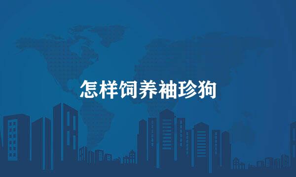 怎样饲养袖珍狗