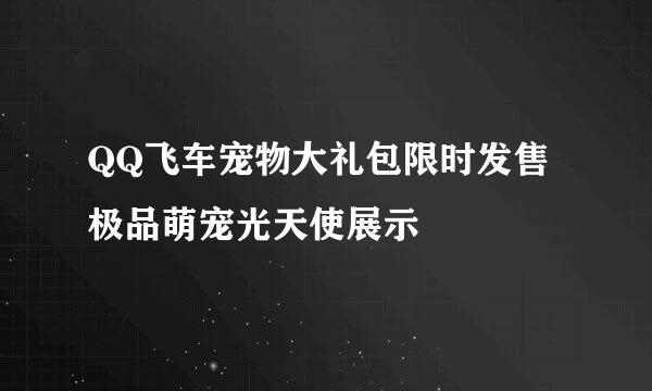 QQ飞车宠物大礼包限时发售 极品萌宠光天使展示