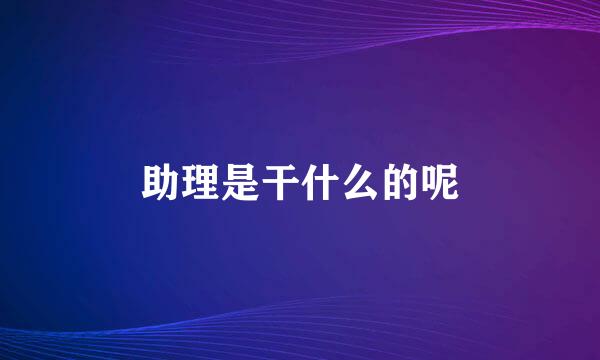 助理是干什么的呢