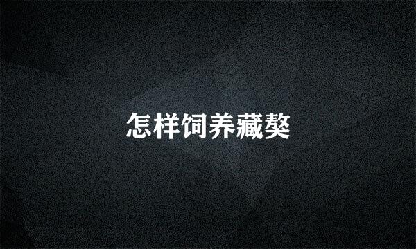 怎样饲养藏獒