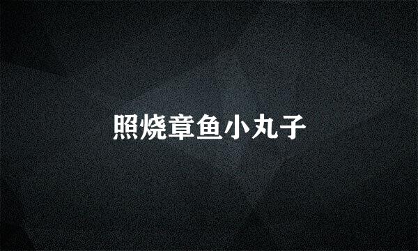 照烧章鱼小丸子