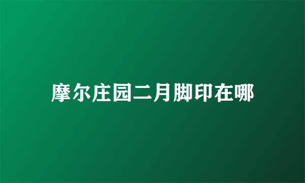 摩尔庄园二月脚印在哪