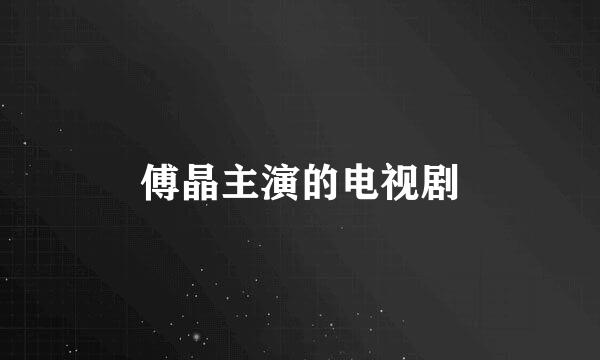 傅晶主演的电视剧