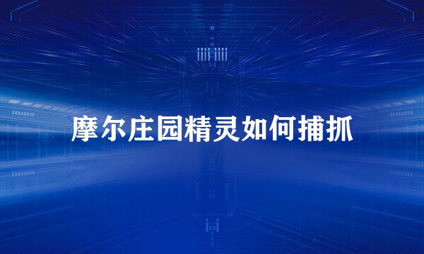 摩尔庄园精灵如何捕抓
