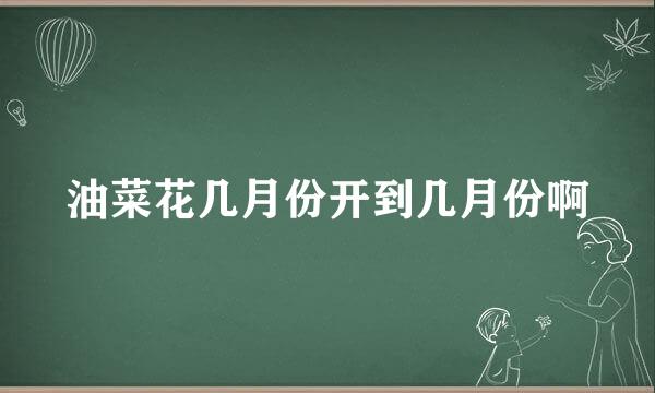 油菜花几月份开到几月份啊