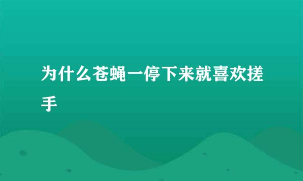 为什么苍蝇一停下来就喜欢搓手