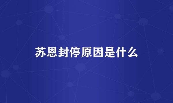 苏恩封停原因是什么