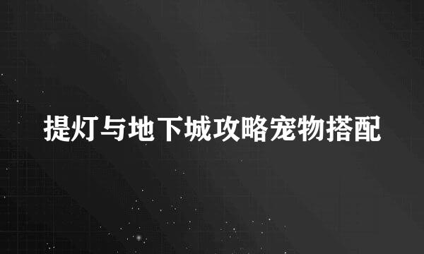 提灯与地下城攻略宠物搭配
