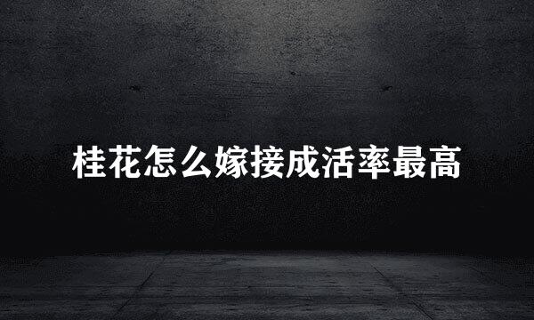 桂花怎么嫁接成活率最高