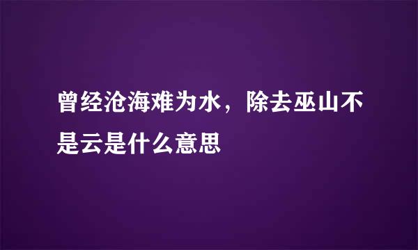 曾经沧海难为水，除去巫山不是云是什么意思