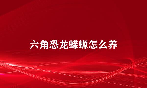 六角恐龙蝾螈怎么养