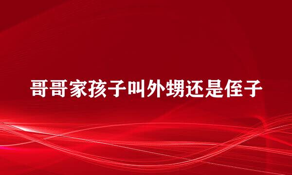 哥哥家孩子叫外甥还是侄子