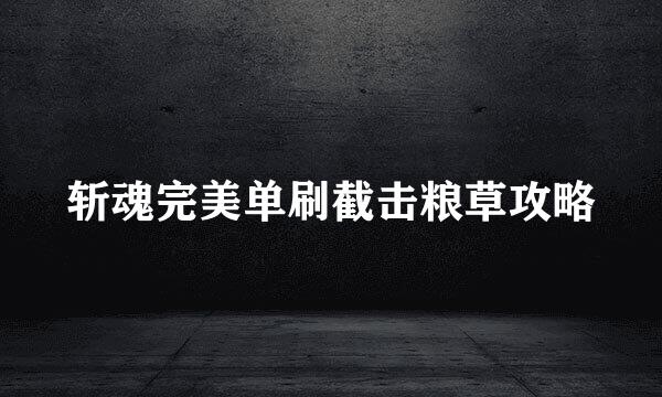 斩魂完美单刷截击粮草攻略