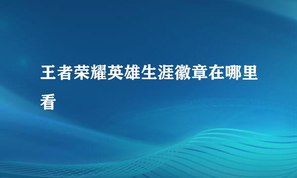 王者荣耀英雄生涯徽章在哪里看
