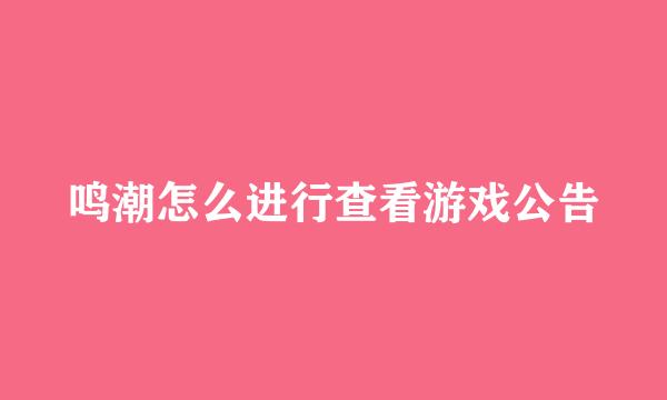 鸣潮怎么进行查看游戏公告