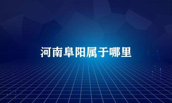 河南阜阳属于哪里
