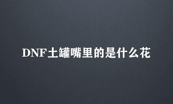 DNF土罐嘴里的是什么花