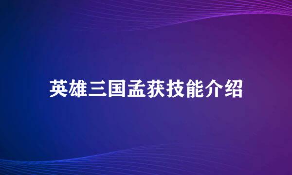 英雄三国孟获技能介绍