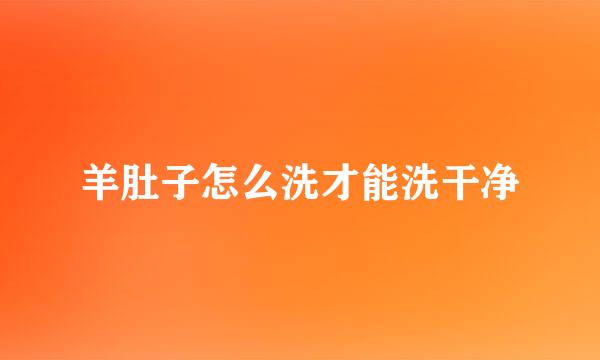 羊肚子怎么洗才能洗干净