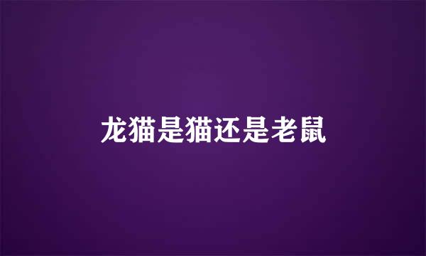 龙猫是猫还是老鼠