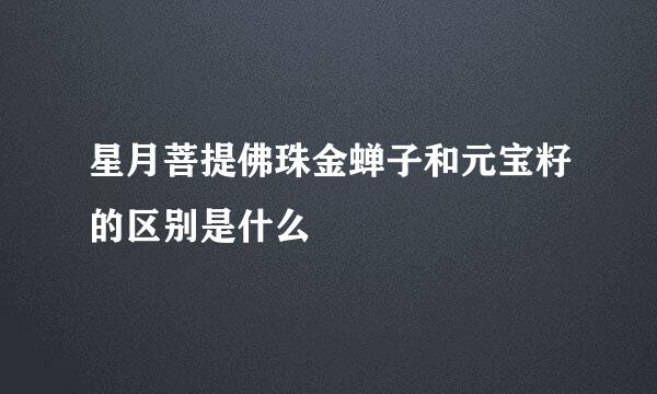 星月菩提佛珠金蝉子和元宝籽的区别是什么