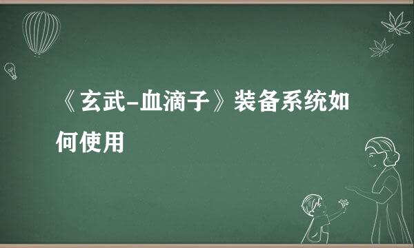 《玄武-血滴子》装备系统如何使用