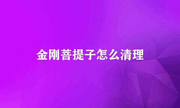 金刚菩提子怎么清理