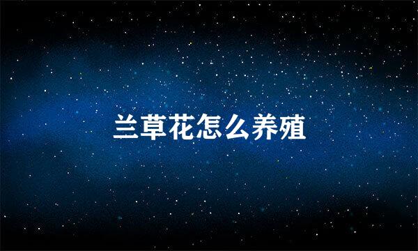 兰草花怎么养殖