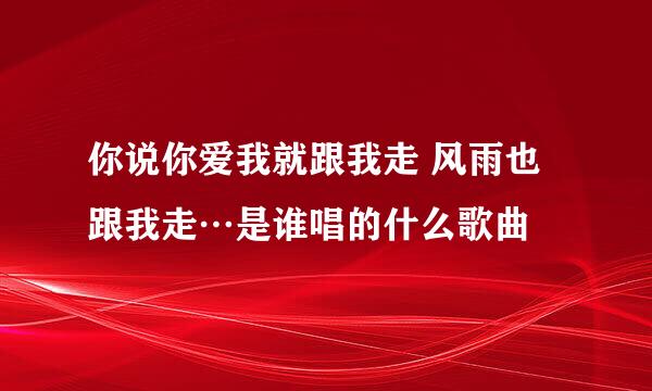 你说你爱我就跟我走 风雨也跟我走…是谁唱的什么歌曲