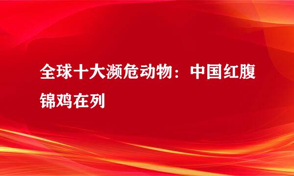 全球十大濒危动物：中国红腹锦鸡在列