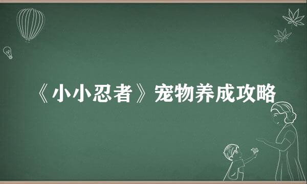 《小小忍者》宠物养成攻略