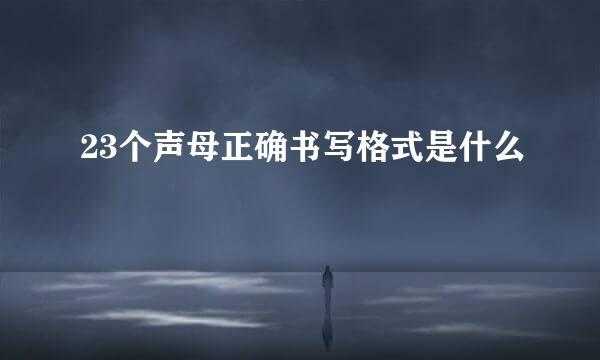 23个声母正确书写格式是什么