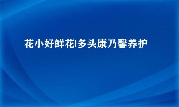 花小好鲜花|多头康乃馨养护