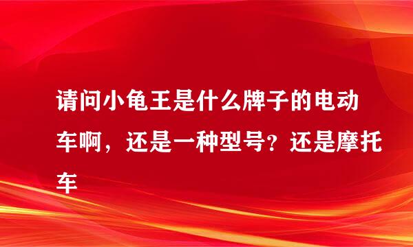 请问小龟王是什么牌子的电动车啊，还是一种型号？还是摩托车