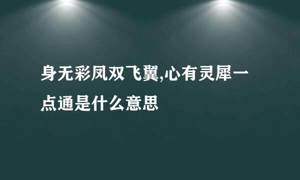 身无彩凤双飞翼,心有灵犀一点通是什么意思
