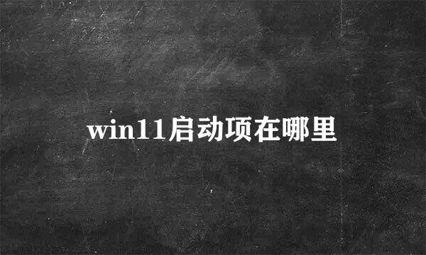win11启动项在哪里