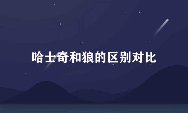 哈士奇和狼的区别对比