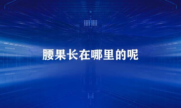 腰果长在哪里的呢