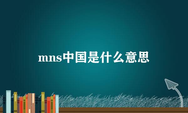 mns中国是什么意思