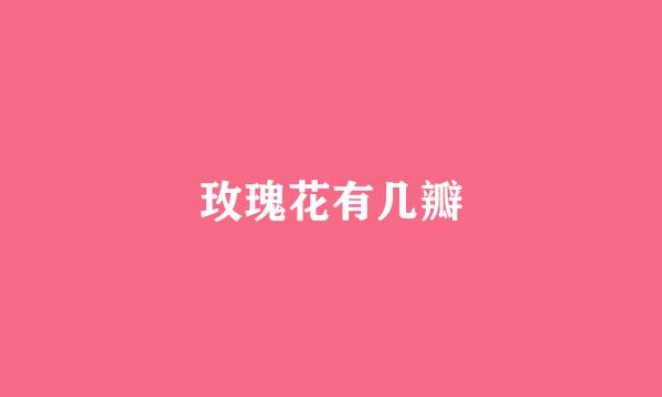 玫瑰花有几瓣