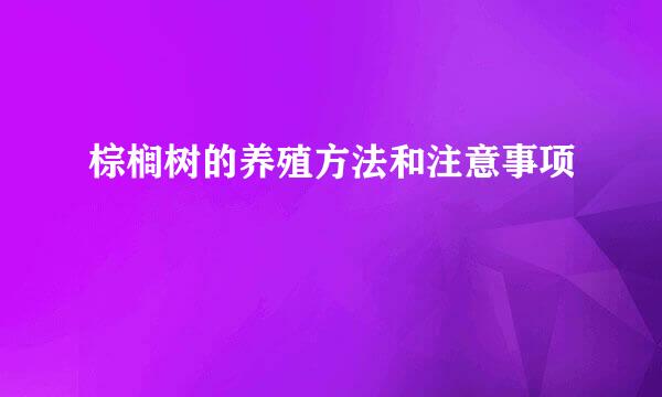 棕榈树的养殖方法和注意事项