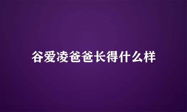谷爱凌爸爸长得什么样
