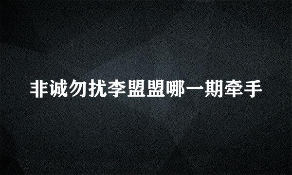 非诚勿扰李盟盟哪一期牵手