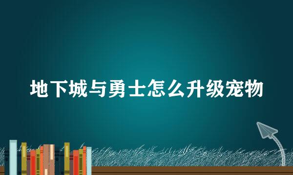 地下城与勇士怎么升级宠物