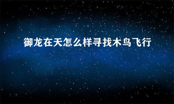 御龙在天怎么样寻找木鸟飞行