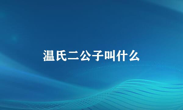 温氏二公子叫什么