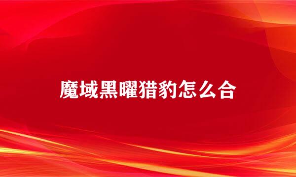 魔域黑曜猎豹怎么合