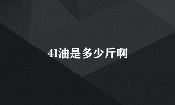 4l油是多少斤啊